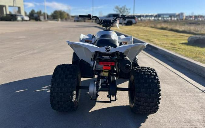 2026 Can-Am® Renegade 110 EFI