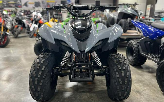 2024 Kawasaki KFX®90