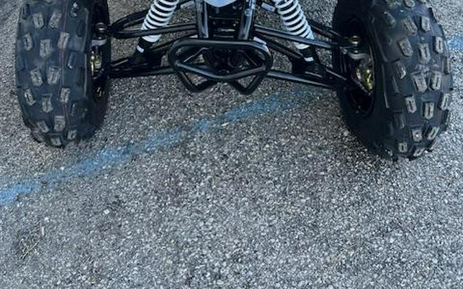 2026 Polaris Phoenix 200