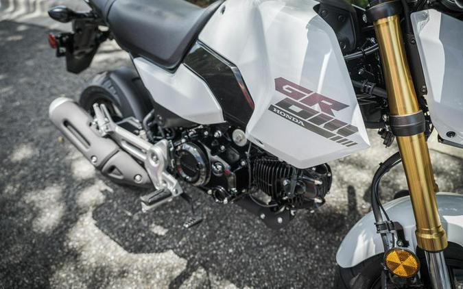 2025 Honda® Grom