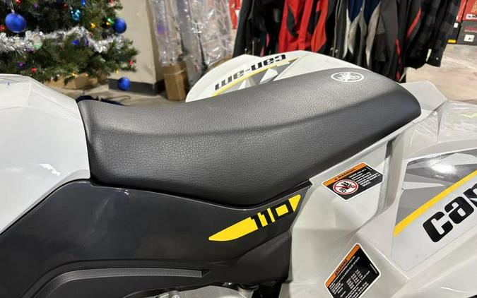2026 Can-Am® Renegade 110 EFI
