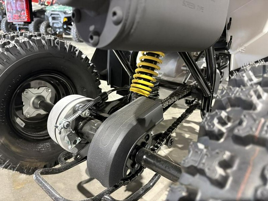 2026 Can-Am® Renegade 110 EFI