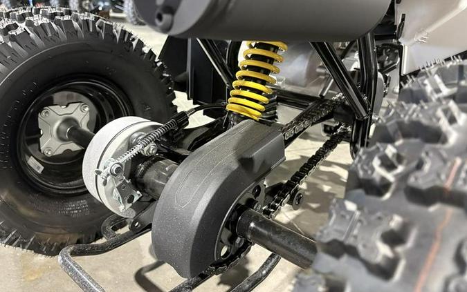 2026 Can-Am® Renegade 110 EFI