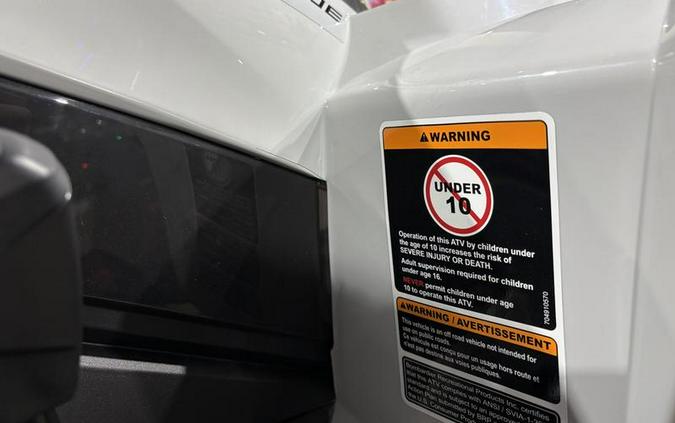 2026 Can-Am® Renegade 110 EFI