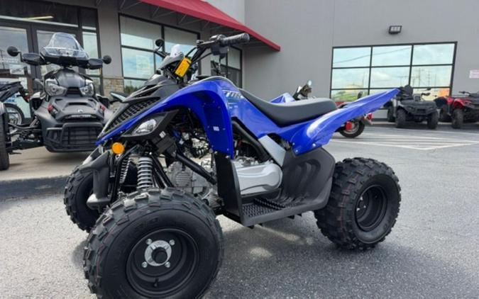 2026 Yamaha Raptor 110