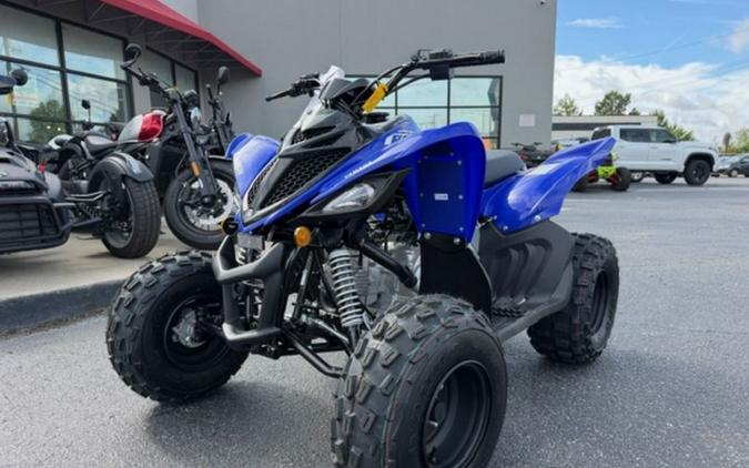 2026 Yamaha Raptor 110