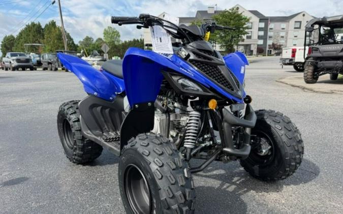 2026 Yamaha Raptor 110