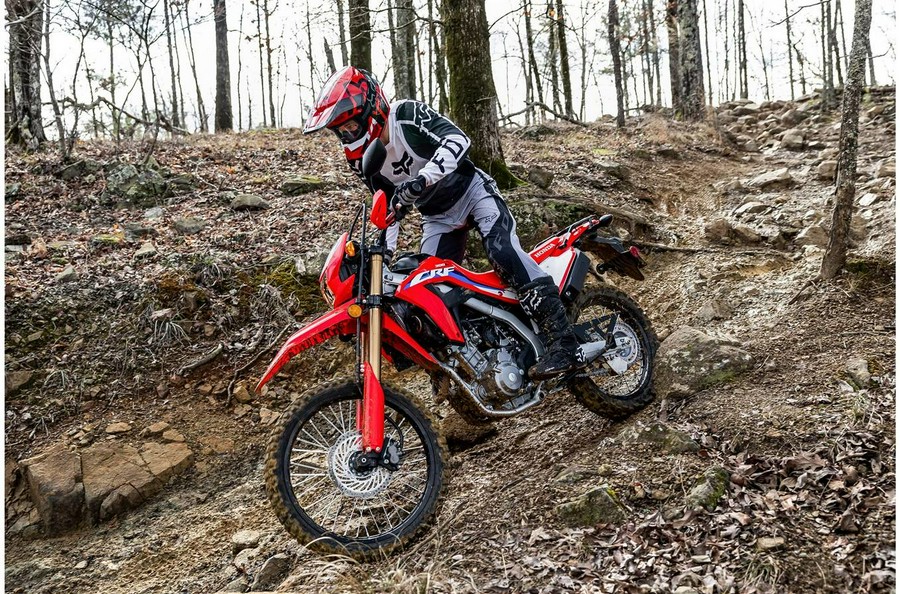 2024 Honda CRF300L