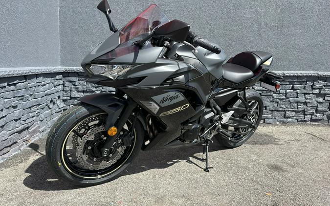 2024 Kawasaki NINJA 650