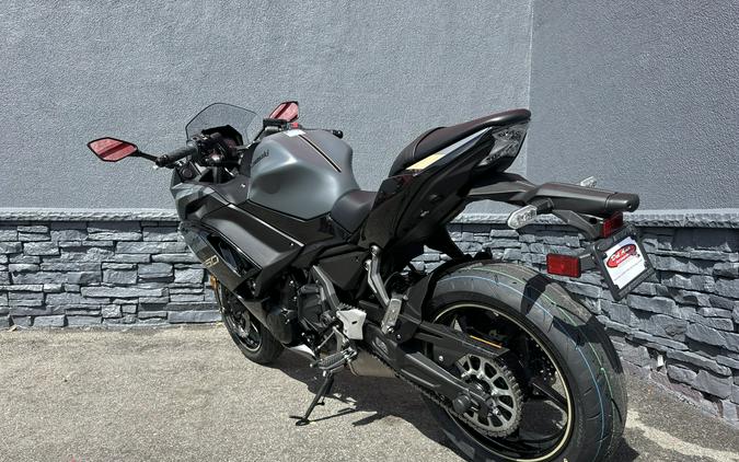 2024 Kawasaki NINJA 650