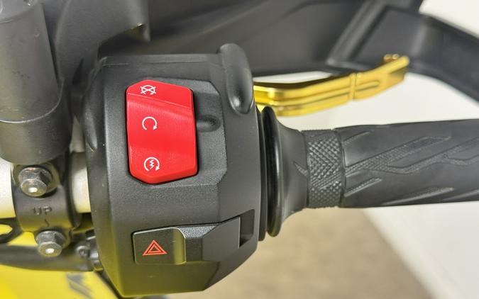 2023 Suzuki V-STROM 800DE Champion Yellow No. 2 - 100231