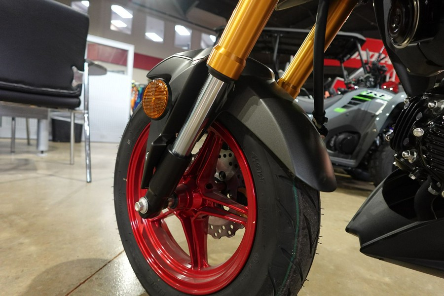 2025 Kawasaki Z125 Pro