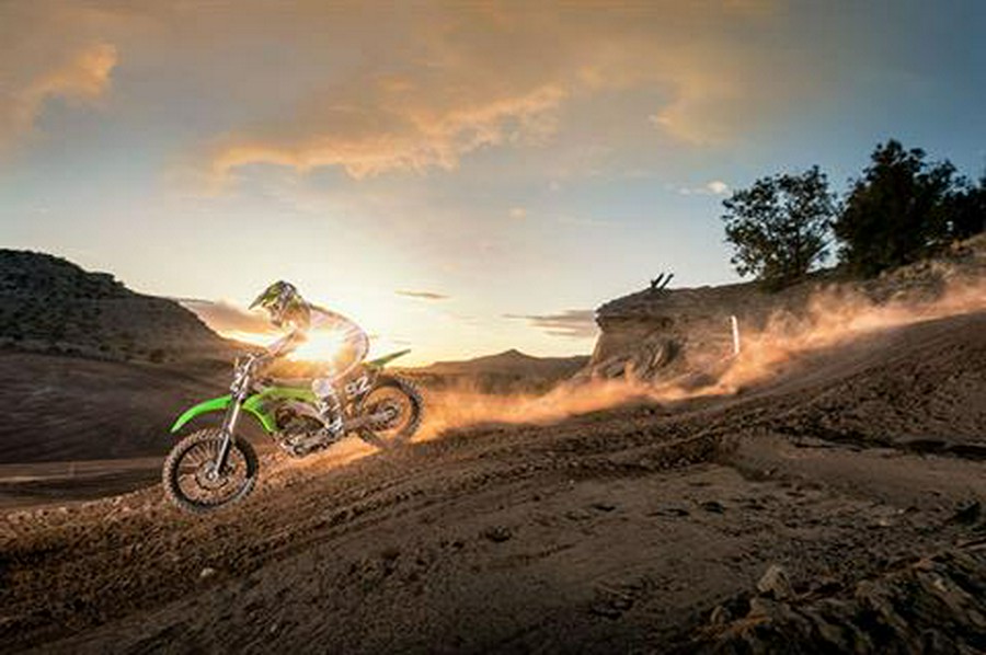 2019 Kawasaki KX 250