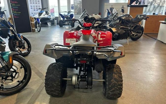 2025 Yamaha Grizzly 110