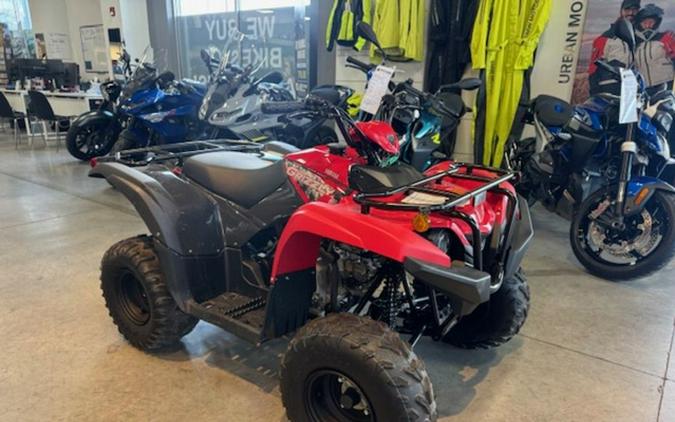 2025 Yamaha Grizzly 110