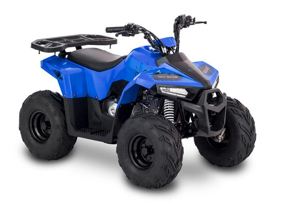 2022 Tao Motor Mudhawk 6