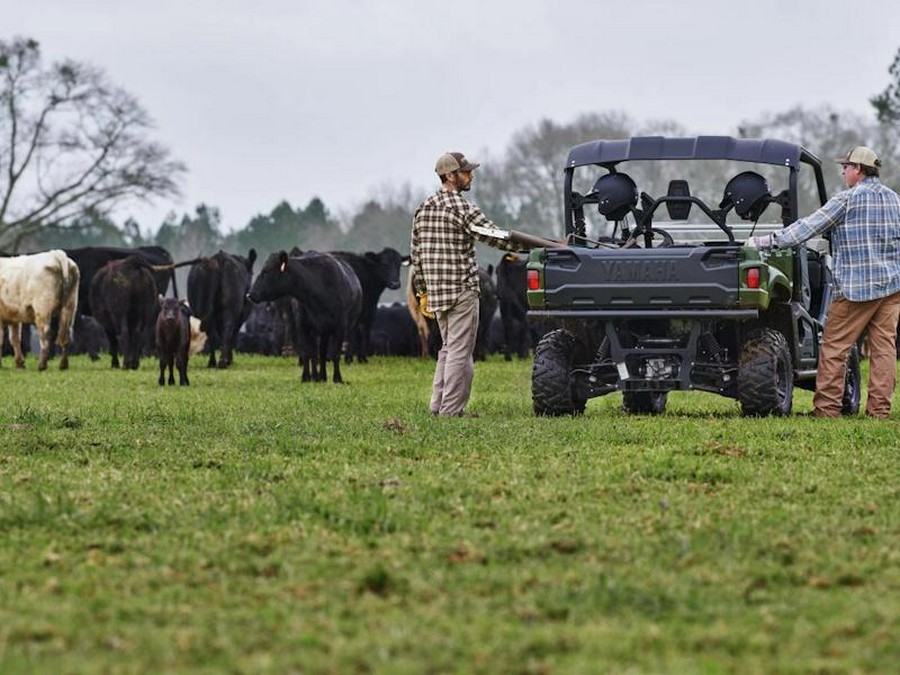2025 Yamaha Viking EPS