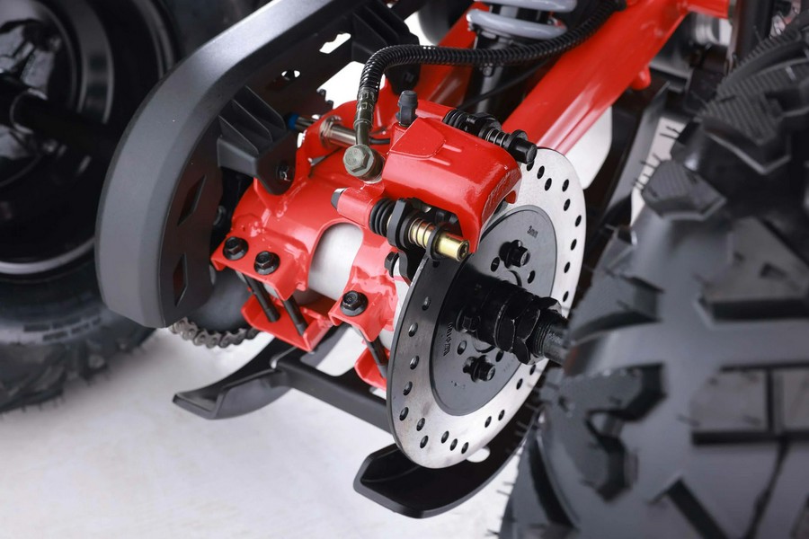 2026 Denago Powersports Mudhawk 10FI