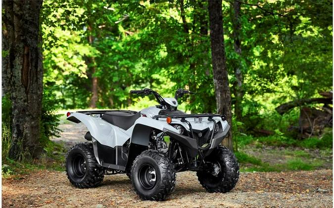 2023 Yamaha Grizzly 90