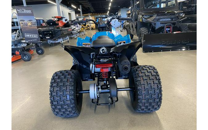 2024 Can-Am Renegade 110 EFI