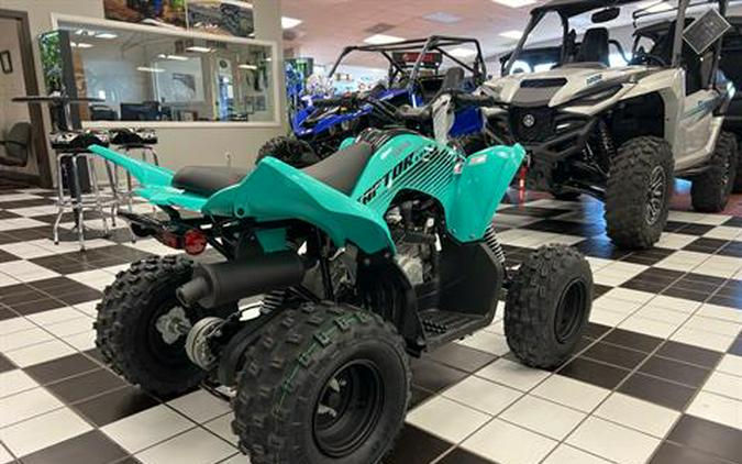 2024 Yamaha Raptor 110