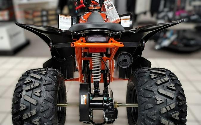 2026 Kayo Predator 110