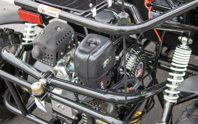 New 2025 TRAILMASTER CHEETAH 8