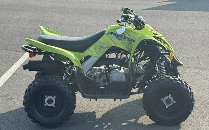 2026 Yamaha Raptor 110
