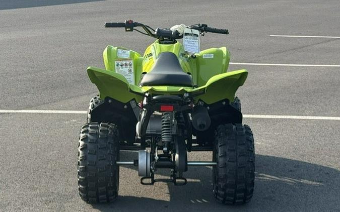 2026 Yamaha Raptor 110