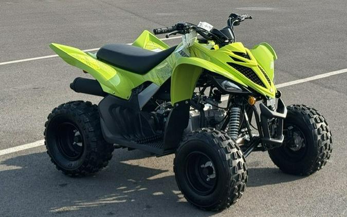 2026 Yamaha Raptor 110