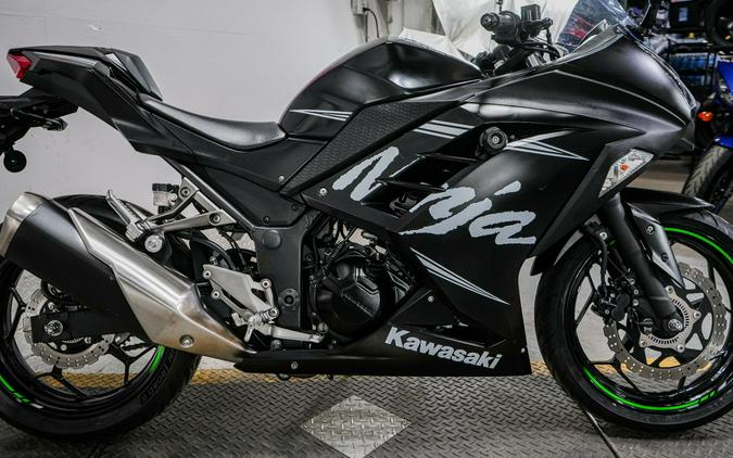 2017 Kawasaki Ninja 300 ABS Winter Test Edition