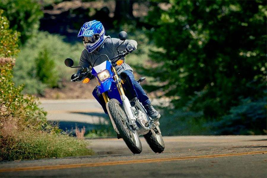 2020 Yamaha WR250R