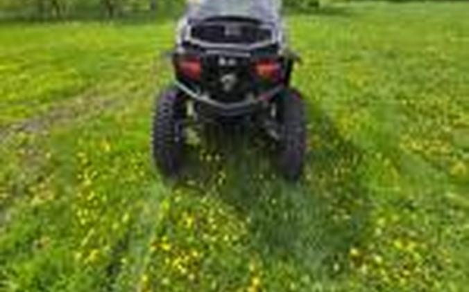 2019 Arctic Cat Wildcat XX LTD