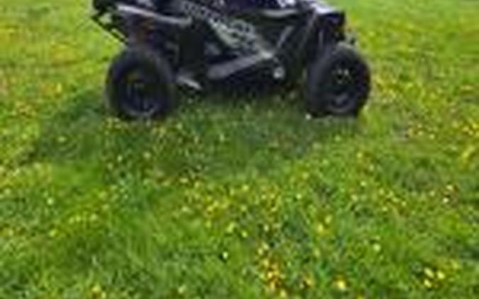 2019 Arctic Cat Wildcat XX LTD
