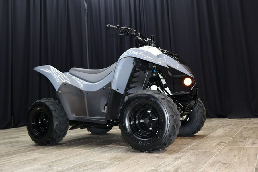 2025 Kawasaki KFX50