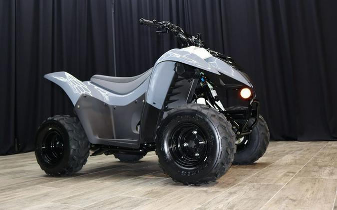 2025 Kawasaki KFX50