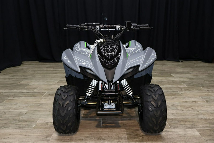 2025 Kawasaki KFX50