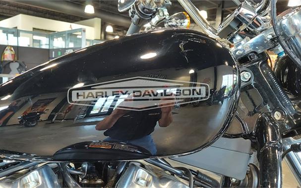 2022 Harley-Davidson Softail Standard