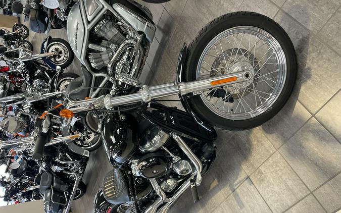 2020 Harley-Davidson Standard