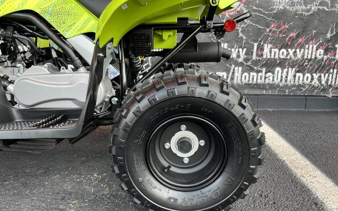 2026 Yamaha Raptor 110