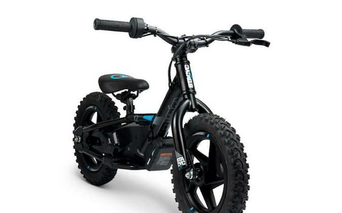 2025 Stacyc 12eDrive