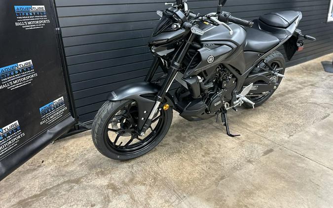 2024 Yamaha MT 03