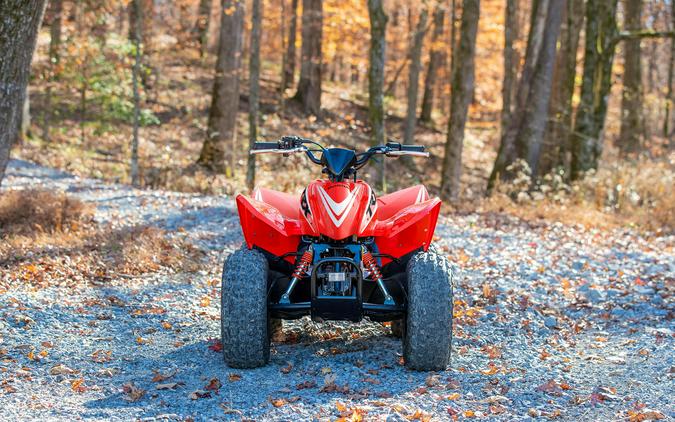 2026 Honda TRX® 90X