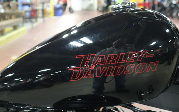 2024 Harley-Davidson Softail® Standard