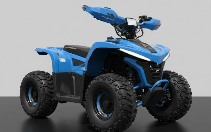 2026 DENAGO EHAWK 6 Electric - D10490