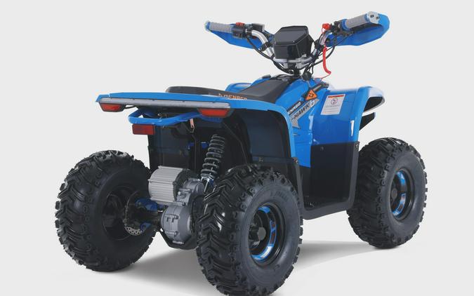2026 DENAGO EHAWK 6 Electric - D10490