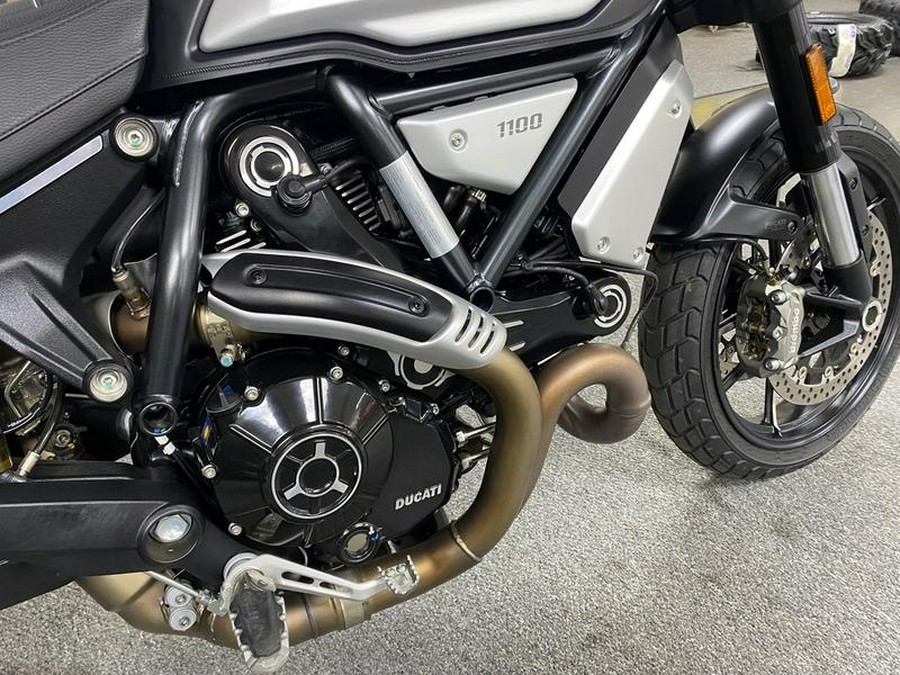 2022 Ducati Scrambler 1100 Tribute PRO Giallo Ocra