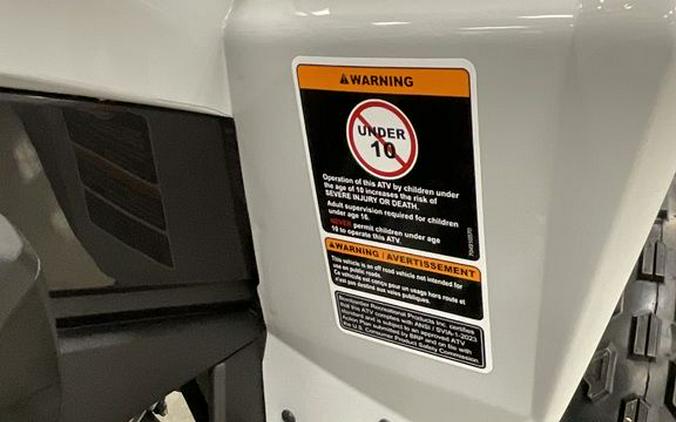 2026 Can-Am® Renegade 110 EFI