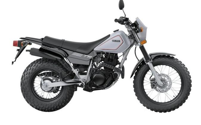 2025 Yamaha TW200