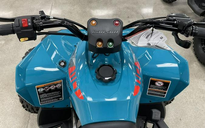 2026 Can-Am® Renegade 110 EFI